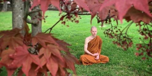 The Art of Peace: A Monastic Daylong Retreat with Tan Nisabho (In-Person in Spokane & Online)