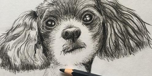 Beginners Pet Portraits with Marloes (Online)