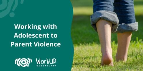 Working with Adolescent to Parent Violence (Brisbane)