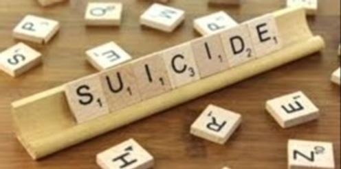 Risky Business: The art of assessing suicide risk and imminent danger - Gisborne