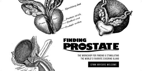 Finding Prostate