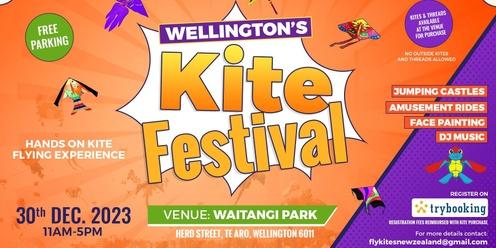 Wellington's Kite Flying Festival