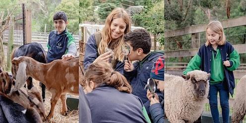 Collingwood Children's Farm School Excursions: for 2 to 3 Classes
