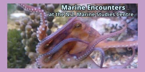 Marine Encounters at the N.Z. Marine Studies Centre