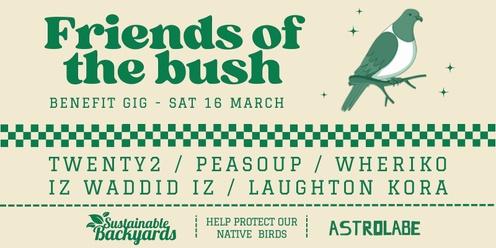 Friends Of The Bush Benefit Gig