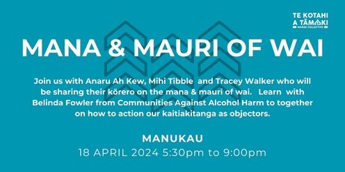 Pūrākau Wānanga // Mana & Mauri of Wai // Māngere 
