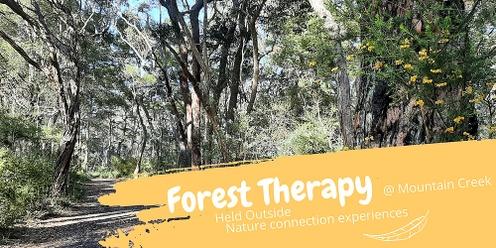Forest Therapy at Mountain Creek 7 May 23