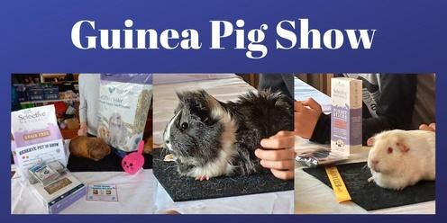 Guinea Pig Show 