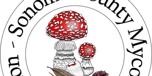Dec 23rd, 2023 - Wild Mushroom Foray at Salt Point State Park 