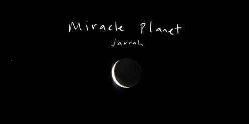 Miracle Planet - Music for the Forests
